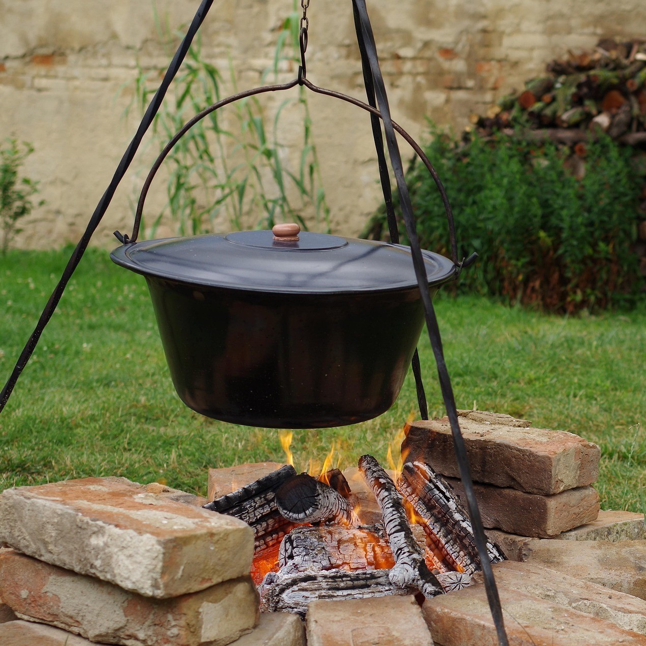 ajale-goulash-5847335_1920